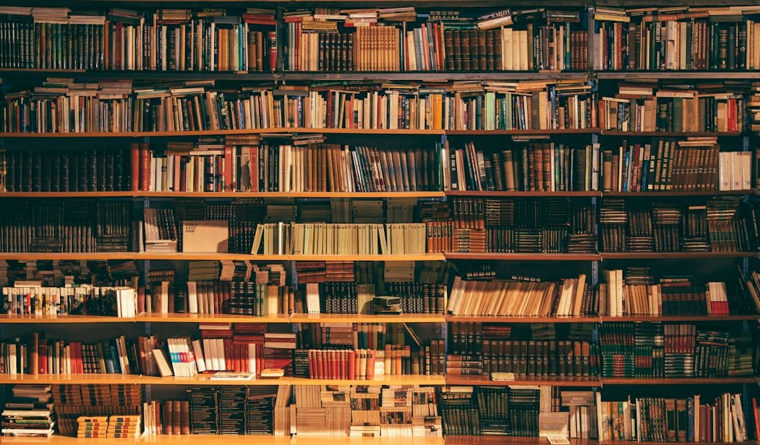 Tall wooden library shelves filled with books